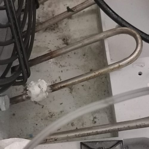 WhatsApp Image 2025-12-11 at 10.23.23